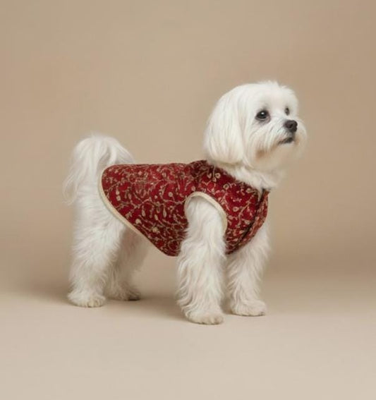 Ruby Tapestry Pet Vest