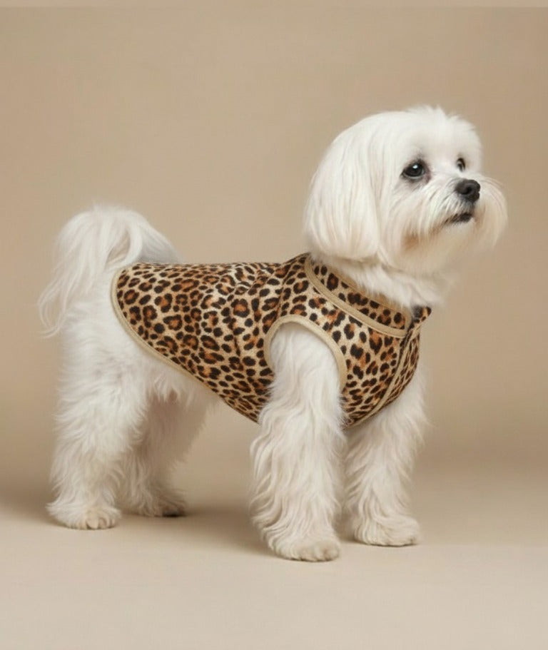 Wild & Warm Winter Style