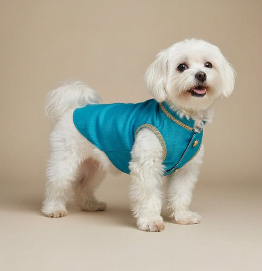 Majestic Teal Dog Sherwani Set